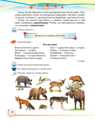 Голод і холод змушують птахів мандрувати до теплих країв. Пер­
шими відлітають птахи, які харчуються комахами: ластівки, солов'ї
та зозулі, а пізніше ті, що живляться на водоймах: дикі качки й гуси.
Птахів, які восени відлітають, а навесні повертаються у свій
край, називають перелітними. Птахів, які залишаються зимува­
ти, називають зимуючими.
Поясни прислів'я.
г Восени й горобець багатий.
Прочитай вірш.
Хто де живе
Білка селиться в дуплі,
Іжачисько — у кублі,
Вепр — у хащах верболозів,
А ведмідь — в глухім барлозі,
Мудрий лис живе у норах,
Тигр — уджунглях, барс — у горах,
Олень — в тундрі і в лісах,
А верблюд — в пустелі,
А орел — могутній птах —
У гнізді на скелі...
Назви, де живуть персонажі вірша.
О. Орач
Які тварини мешкають у твоєму краї?
Розглянь малюнки. Назви тварин.
 