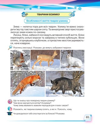 ТВАРИНИ ВЗИМКУ
Особливості життя тварин узимку
Зима — нелегка пора для всіх тварин. Узимку їм важко знахо­
дити їжу під товстим шаром снігу. Та винахідливі звірі пристосува­
лися до зими кожен по-своєму.
Лисиці, білки, кабани й лосі ведуть активний спосіб життя. Білки
перечікують сильні морози та завірюху в теплих кубельцях. Вони
сплять, згорнувшись клубочком, а пухнастим хвостом укривають-
ся, наче ковдрою.
Розглянь ілюстрації. Розкажи, де живуть зображені тварини.
Що ти знаєш про поведінку тварин узимку?
Чим вони харчуються влітку? А взимку?
Чому зиму вважають важким періодом для птахів і звірів?
Розкажіть, які тварини взимку сплять, а які ні. Поясніть, чому.
Чи доводилося тобі спостерігати за білкою? Розкажи.
 