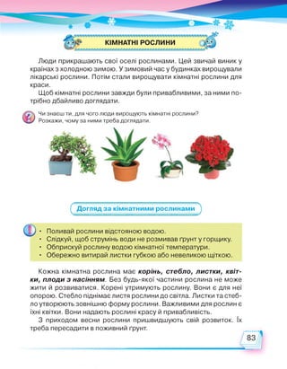 КІМНАТНІ РОСЛИНИ
Люди прикрашають свої оселі рослинами. Цей звичай виник у
країнах з холодною зимою. У зимовий час у будинках вирощували
лікарські рослини. Потім стали вирощувати кімнатні рослини для
краси.
Щоб кімнатні рослини завжди були привабливими, за ними по­
трібно дбайливо доглядати.
Чи знаєш ти, для чого люди вирощують кімнатні рослини?
Розкажи, чому за ними треба доглядати.
ґ Догляд за кімнатними рослинами
З
• Поливай рослини відстояною водою.
• Слідкуй, щоб струмінь води не розмивав ґрунт у горщику.
• Обприскуй рослину водою кімнатної температури.
• Обережно витирай листки губкою або невеликою щіткою.
Кожна кімнатна рослина має корінь, стебло, листки, квіт­
ки, плоди з насінням. Без будь-якої частини рослина не може
жити й розвиватися. Корені утримують рослину. Вони є для неї
опорою. Стебло піднімає листя рослини до світла. Листки та стеб­
ло утворюють зовнішню форму рослини. Важливими для рослин є
їхні квітки. Вони надають рослині красу й привабливість.
З приходом весни рослини пришвидшують свій розвиток. їх
треба пересадити в поживний ґрунт.
83
 