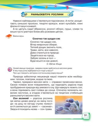 РАННЬОКВІТУЧІ РОСЛИНИ
Навесні найпершими з’являються підсніжники. А потім розцві­
тають синьоокі проліски, тендітні крокуси, жовті кульбаби, ніжні
фіалки й пахучі конвалії.
А як цвітуть сади! Абрикоси, розлогі яблуні, груші, сливи та
вишні густо уквітчані білим або рожевим цвітом.
Вивчи вірш.
Сонечко так щедро сяє
Сонечко так щедро сяє,
Вітер хмароньки збирає.
Теплий дощик змочить поле,
Трави, квіти, все навколо.
Диво станеться в природі:
Зацвіте все на городі,
Забуяє зелень в полі —
Буде всього в нас доволі.
О. Війтик-Ющук
Назви явища природи, завдяки яким здійсняться весняні дива.
У яку пору року відбуваються події у вірші?
Про що говорить авторка в останньому рядку вірша?
Природа забезпечує мешканців нашої планети всім необхід­
ним: теплом, повітрям, водою та їжею.
Чарівні, прекрасні весняні квіти — справжні провісники весни.
Своєю появою вони повідомляють, що надходить радісна пора
пробудження природи від зимового сну. Ще навкруги лежить сніг,
а вони піднімають свої голівки до сонця. Спочатку зеленіють не­
великі листочки, а згодом з’являються на тендітних стебельцях
ранньоквітучі весняні квіти.
Сон великий — рідкісна рослина.
Ця квітка цікаво реагує на зміну пого­
ди: на дощ чи негоду стуляє пелюст­
ки й схиляється до землі — «засинає».
Звідси й походить назва — сон-трава.
 