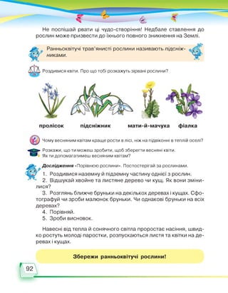 Не поспішай рвати ці чудо-створіння! Недбале ставлення до
рослин може призвести до їхнього повного зникнення на Землі.
Ранньоквітучі трав’янисті рослини називають підсніж-
никами.
Роздивися квіти. Про що тобі розкажуть зірвані рослини?
пролісок підсніжник мати-й-мачуха фіалка
Чому весняним квітам краще рости в лісі, ніж на підвіконні в теплій оселі?
Розкажи, що ти можеш зробити, щоб зберегти весняні квіти.
Як ти допомагатимеш весняним квітам?
Дослідження «Порівнюю рослини». Поспостерігай за рослинами.
1. Роздивися наземну й підземну частину однієї з рослин.
2. Відшукай хвойне та листяне дерево чи кущ. Як вони зміни­
лися?
3. Розглянь ближче бруньки на декількох деревах і кущах. Сфо­
тографуй чи зроби малюнок бруньки. Чи однакові бруньки на всіх
деревах?
4. Порівняй.
5. Зроби висновок.
Навесні від тепла й сонячного світла проростає насіння, швид­
ко ростуть молоді паростки, розпускаються листя та квітки на де­
ревах і кущах.
Збережи ранньоквітучі рослини!
 