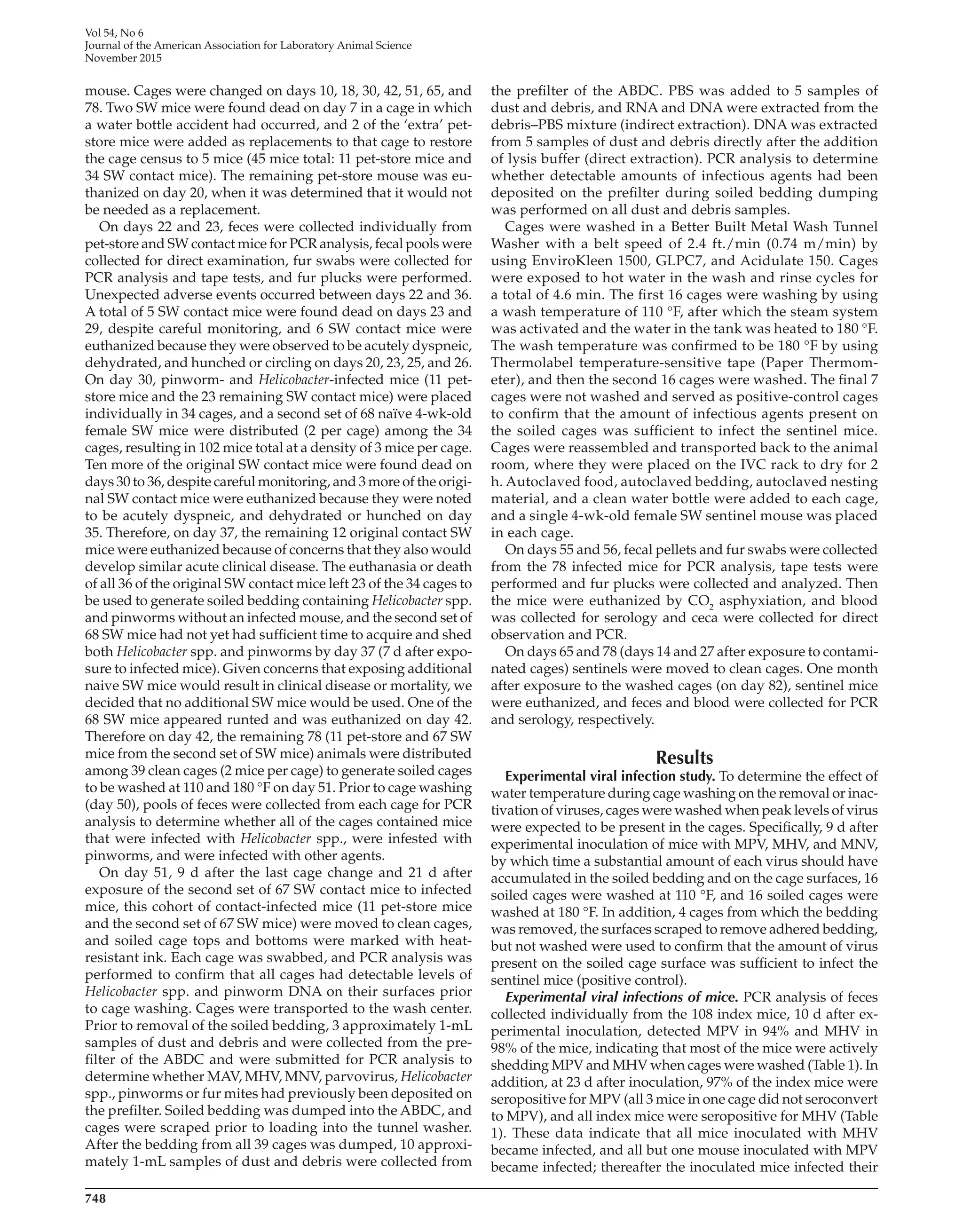 748
Vol 54, No 6
Journal of the American Association for Laboratory Animal Science
November 2015
the prefilter of the ABDC. PBS was added to 5 samples of
dust and debris, and RNA and DNA were extracted from the
debris–PBS mixture (indirect extraction). DNA was extracted
from 5 samples of dust and debris directly after the addition
of lysis buffer (direct extraction). PCR analysis to determine
whether detectable amounts of infectious agents had been
deposited on the prefilter during soiled bedding dumping
was performed on all dust and debris samples.
Cages were washed in a Better Built Metal Wash Tunnel
Washer with a belt speed of 2.4 ft./min (0.74 m/min) by
using EnviroKleen 1500, GLPC7, and Acidulate 150. Cages
were exposed to hot water in the wash and rinse cycles for
a total of 4.6 min. The first 16 cages were washing by using
a wash temperature of 110 °F, after which the steam system
was activated and the water in the tank was heated to 180 °F.
The wash temperature was confirmed to be 180 °F by using
Thermolabel temperature-sensitive tape (Paper Thermom-
eter), and then the second 16 cages were washed. The final 7
cages were not washed and served as positive-control cages
to confirm that the amount of infectious agents present on
the soiled cages was sufficient to infect the sentinel mice.
Cages were reassembled and transported back to the animal
room, where they were placed on the IVC rack to dry for 2
h. Autoclaved food, autoclaved bedding, autoclaved nesting
material, and a clean water bottle were added to each cage,
and a single 4-wk-old female SW sentinel mouse was placed
in each cage.
On days 55 and 56, fecal pellets and fur swabs were collected
from the 78 infected mice for PCR analysis, tape tests were
performed and fur plucks were collected and analyzed. Then
the mice were euthanized by CO2
asphyxiation, and blood
was collected for serology and ceca were collected for direct
observation and PCR.
On days 65 and 78 (days 14 and 27 after exposure to contami-
nated cages) sentinels were moved to clean cages. One month
after exposure to the washed cages (on day 82), sentinel mice
were euthanized, and feces and blood were collected for PCR
and serology, respectively.
Results
Experimental viral infection study. To determine the effect of
water temperature during cage washing on the removal or inac-
tivation of viruses, cages were washed when peak levels of virus
were expected to be present in the cages. Specifically, 9 d after
experimental inoculation of mice with MPV, MHV, and MNV,
by which time a substantial amount of each virus should have
accumulated in the soiled bedding and on the cage surfaces, 16
soiled cages were washed at 110 °F, and 16 soiled cages were
washed at 180 °F. In addition, 4 cages from which the bedding
was removed, the surfaces scraped to remove adhered bedding,
but not washed were used to confirm that the amount of virus
present on the soiled cage surface was sufficient to infect the
sentinel mice (positive control).
Experimental viral infections of mice. PCR analysis of feces
collected individually from the 108 index mice, 10 d after ex-
perimental inoculation, detected MPV in 94% and MHV in
98% of the mice, indicating that most of the mice were actively
shedding MPV and MHV when cages were washed (Table 1). In
addition, at 23 d after inoculation, 97% of the index mice were
seropositive for MPV (all 3 mice in one cage did not seroconvert
to MPV), and all index mice were seropositive for MHV (Table
1). These data indicate that all mice inoculated with MHV
became infected, and all but one mouse inoculated with MPV
became infected; thereafter the inoculated mice infected their
mouse. Cages were changed on days 10, 18, 30, 42, 51, 65, and
78. Two SW mice were found dead on day 7 in a cage in which
a water bottle accident had occurred, and 2 of the ‘extra’ pet-
store mice were added as replacements to that cage to restore
the cage census to 5 mice (45 mice total: 11 pet-store mice and
34 SW contact mice). The remaining pet-store mouse was eu-
thanized on day 20, when it was determined that it would not
be needed as a replacement.
On days 22 and 23, feces were collected individually from
pet-store and SW contact mice for PCR analysis, fecal pools were
collected for direct examination, fur swabs were collected for
PCR analysis and tape tests, and fur plucks were performed.
Unexpected adverse events occurred between days 22 and 36.
A total of 5 SW contact mice were found dead on days 23 and
29, despite careful monitoring, and 6 SW contact mice were
euthanized because they were observed to be acutely dyspneic,
dehydrated, and hunched or circling on days 20, 23, 25, and 26.
On day 30, pinworm- and Helicobacter-infected mice (11 pet-
store mice and the 23 remaining SW contact mice) were placed
individually in 34 cages, and a second set of 68 naïve 4-wk-old
female SW mice were distributed (2 per cage) among the 34
cages, resulting in 102 mice total at a density of 3 mice per cage.
Ten more of the original SW contact mice were found dead on
days 30 to 36, despite careful monitoring, and 3 more of the origi-
nal SW contact mice were euthanized because they were noted
to be acutely dyspneic, and dehydrated or hunched on day
35. Therefore, on day 37, the remaining 12 original contact SW
mice were euthanized because of concerns that they also would
develop similar acute clinical disease. The euthanasia or death
of all 36 of the original SW contact mice left 23 of the 34 cages to
be used to generate soiled bedding containing Helicobacter spp.
and pinworms without an infected mouse, and the second set of
68 SW mice had not yet had sufficient time to acquire and shed
both Helicobacter spp. and pinworms by day 37 (7 d after expo-
sure to infected mice). Given concerns that exposing additional
naive SW mice would result in clinical disease or mortality, we
decided that no additional SW mice would be used. One of the
68 SW mice appeared runted and was euthanized on day 42.
Therefore on day 42, the remaining 78 (11 pet-store and 67 SW
mice from the second set of SW mice) animals were distributed
among 39 clean cages (2 mice per cage) to generate soiled cages
to be washed at 110 and 180 °F on day 51. Prior to cage washing
(day 50), pools of feces were collected from each cage for PCR
analysis to determine whether all of the cages contained mice
that were infected with Helicobacter spp., were infested with
pinworms, and were infected with other agents.
On day 51, 9 d after the last cage change and 21 d after
exposure of the second set of 67 SW contact mice to infected
mice, this cohort of contact-infected mice (11 pet-store mice
and the second set of 67 SW mice) were moved to clean cages,
and soiled cage tops and bottoms were marked with heat-
resistant ink. Each cage was swabbed, and PCR analysis was
performed to confirm that all cages had detectable levels of
Helicobacter spp. and pinworm DNA on their surfaces prior
to cage washing. Cages were transported to the wash center.
Prior to removal of the soiled bedding, 3 approximately 1-mL
samples of dust and debris and were collected from the pre-
filter of the ABDC and were submitted for PCR analysis to
determine whether MAV, MHV, MNV, parvovirus, Helicobacter
spp., pinworms or fur mites had previously been deposited on
the prefilter. Soiled bedding was dumped into the ABDC, and
cages were scraped prior to loading into the tunnel washer.
After the bedding from all 39 cages was dumped, 10 approxi-
mately 1-mL samples of dust and debris were collected from
jaalas14000172.indd 748 11/23/2015 1:19:58 PM
 
