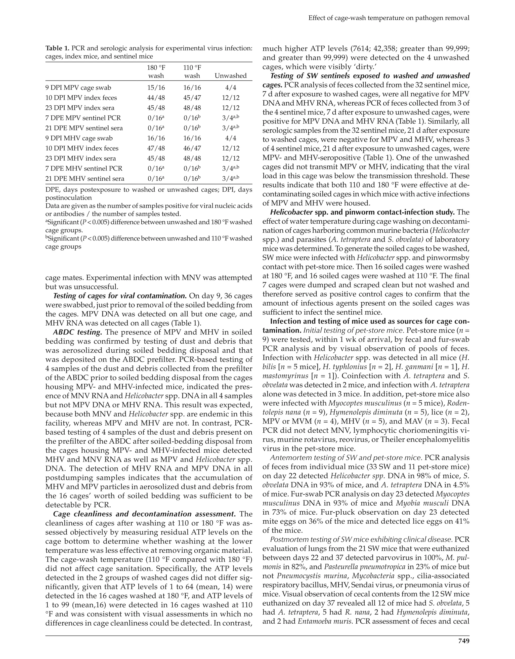 749
Effect of cage-wash temperature on pathogen removal
much higher ATP levels (7614; 42,358; greater than 99,999;
and greater than 99,999) were detected on the 4 unwashed
cages, which were visibly ‘dirty.’
Testing of SW sentinels exposed to washed and unwashed
cages. PCR analysis of feces collected from the 32 sentinel mice,
7 d after exposure to washed cages, were all negative for MPV
DNAand MHV RNA, whereas PCR of feces collected from 3 of
the 4 sentinel mice, 7 d after exposure to unwashed cages, were
positive for MPV DNA and MHV RNA (Table 1). Similarly, all
serologic samples from the 32 sentinel mice, 21 d after exposure
to washed cages, were negative for MPV and MHV, whereas 3
of 4 sentinel mice, 21 d after exposure to unwashed cages, were
MPV- and MHV-seropositive (Table 1). One of the unwashed
cages did not transmit MPV or MHV, indicating that the viral
load in this cage was below the transmission threshold. These
results indicate that both 110 and 180 °F were effective at de-
contaminating soiled cages in which mice with active infections
of MPV and MHV were housed.
Helicobacter spp. and pinworm contact-infection study. The
effect of water temperature during cage washing on decontami-
nation of cages harboring common murine bacteria (Helicobacter
spp.) and parasites (A. tetraptera and S. obvelata) of laboratory
mice was determined. To generate the soiled cages to be washed,
SW mice were infected with Helicobacter spp. and pinwormsby
contact with pet-store mice. Then 16 soiled cages were washed
at 180 °F, and 16 soiled cages were washed at 110 °F. The final
7 cages were dumped and scraped clean but not washed and
therefore served as positive control cages to confirm that the
amount of infectious agents present on the soiled cages was
sufficient to infect the sentinel mice.
Infection and testing of mice used as sources for cage con-
tamination. Initial testing of pet-store mice. Pet-store mice (n =
9) were tested, within 1 wk of arrival, by fecal and fur-swab
PCR analysis and by visual observation of pools of feces.
Infection with Helicobacter spp. was detected in all mice (H.
bilis [n = 5 mice], H. typhlonius [n = 2], H. ganmani [n = 1], H.
mastomyrinus [n = 1]). Coinfection with A. tetraptera and S.
obvelata was detected in 2 mice, and infection with A. tetraptera
alone was detected in 3 mice. In addition, pet-store mice also
were infected with Myocoptes musculinus (n = 5 mice), Roden-
tolepis nana (n = 9), Hymenolepis diminuta (n = 5), lice (n = 2),
MPV or MVM (n = 4), MHV (n = 5), and MAV (n = 3). Fecal
PCR did not detect MNV, lymphocytic choriomeningitis vi-
rus, murine rotavirus, reovirus, or Theiler encephalomyelitis
virus in the pet-store mice.
Antemortem testing of SW and pet-store mice. PCR analysis
of feces from individual mice (33 SW and 11 pet-store mice)
on day 22 detected Helicobacter spp. DNA in 98% of mice, S.
obvelata DNA in 93% of mice, and A. tetraptera DNA in 4.5%
of mice. Fur-swab PCR analysis on day 23 detected Myocoptes
musculinus DNA in 93% of mice and Myobia musculi DNA
in 73% of mice. Fur-pluck observation on day 23 detected
mite eggs on 36% of the mice and detected lice eggs on 41%
of the mice.
Postmortem testing of SW mice exhibiting clinical disease. PCR
evaluation of lungs from the 21 SW mice that were euthanized
between days 22 and 37 detected parvovirus in 100%, M. pul-
monis in 82%, and Pasteurella pneumotropica in 23% of mice but
not Pneumocystis murina, Mycobacteria spp., cilia-associated
respiratory bacillus, MHV, Sendai virus, or pneumonia virus of
mice. Visual observation of cecal contents from the 12 SW mice
euthanized on day 37 revealed all 12 of mice had S. obvelata, 5
had A. tetraptera, 5 had R. nana, 2 had Hymenolepis diminuta,
and 2 had Entamoeba muris. PCR assessment of feces and cecal
cage mates. Experimental infection with MNV was attempted
but was unsuccessful.
Testing of cages for viral contamination. On day 9, 36 cages
were swabbed, just prior to removal of the soiled bedding from
the cages. MPV DNA was detected on all but one cage, and
MHV RNA was detected on all cages (Table 1).
ABDC testing. The presence of MPV and MHV in soiled
bedding was confirmed by testing of dust and debris that
was aerosolized during soiled bedding disposal and that
was deposited on the ABDC prefilter. PCR-based testing of
4 samples of the dust and debris collected from the prefilter
of the ABDC prior to soiled bedding disposal from the cages
housing MPV- and MHV-infected mice, indicated the pres-
ence of MNV RNA and Helicobacter spp. DNA in all 4 samples
but not MPV DNA or MHV RNA. This result was expected,
because both MNV and Helicobacter spp. are endemic in this
facility, whereas MPV and MHV are not. In contrast, PCR-
based testing of 4 samples of the dust and debris present on
the prefilter of the ABDC after soiled-bedding disposal from
the cages housing MPV- and MHV-infected mice detected
MHV and MNV RNA as well as MPV and Helicobacter spp.
DNA. The detection of MHV RNA and MPV DNA in all
postdumping samples indicates that the accumulation of
MHV and MPV particles in aerosolized dust and debris from
the 16 cages’ worth of soiled bedding was sufficient to be
detectable by PCR.
Cage cleanliness and decontamination assessment. The
cleanliness of cages after washing at 110 or 180 °F was as-
sessed objectively by measuring residual ATP levels on the
cage bottom to determine whether washing at the lower
temperature was less effective at removing organic material.
The cage-wash temperature (110 °F compared with 180 °F)
did not affect cage sanitation. Specifically, the ATP levels
detected in the 2 groups of washed cages did not differ sig-
nificantly, given that ATP levels of 1 to 64 (mean, 14) were
detected in the 16 cages washed at 180 °F, and ATP levels of
1 to 99 (mean,16) were detected in 16 cages washed at 110
°F and was consistent with visual assessments in which no
differences in cage cleanliness could be detected. In contrast,
Table 1. PCR and serologic analysis for experimental virus infection:
cages, index mice, and sentinel mice
180 °F
wash
110 °F
wash Unwashed
9 DPI MPV cage swab 15/16 16/16 4/4
10 DPI MPV index feces 44/48 45/47 12/12
23 DPI MPV index sera 45/48 48/48 12/12
7 DPE MPV sentinel PCR 0/16a 0/16b 3/4a,b
21 DPE MPV sentinel sera 0/16a 0/16b 3/4a,b
9 DPI MHV cage swab 16/16 16/16 4/4
10 DPI MHV index feces 47/48 46/47 12/12
23 DPI MHV index sera 45/48 48/48 12/12
7 DPE MHV sentinel PCR 0/16a 0/16b 3/4a,b
21 DPE MHV sentinel sera 0/16a 0/16b 3/4a,b
DPE, days postexposure to washed or unwashed cages; DPI, days
postinoculation
Data are given as the number of samples positive for viral nucleic acids
or antibodies / the number of samples tested.
aSignificant (P < 0.005) difference between unwashed and 180 °F washed
cage groups.
bSignificant (P < 0.005) difference between unwashed and 110 °F washed
cage groups
jaalas14000172.indd 749 11/23/2015 1:19:58 PM
 