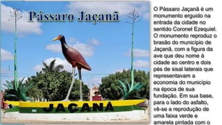 O Pássaro Jaçanã é um
monumento erguido na
entrada da cidade no
sentido Coronel Ezequiel.
O monumento reproduz o
brasão do município de
Jaçanã, com a figura da
ave que deu nome à
cidade ao centro e dois
pés de sisal laterais que
representavam a
economia do município
na época de sua
fundação. Em sua base,
para o lado do asfalto,
vê-se a reprodução de
uma faixa verde e
amarela pintada com o
 