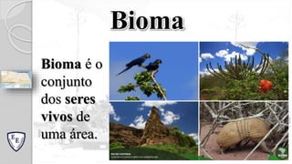 Bioma é o
conjunto
dos seres
vivos de
uma área.
Bioma
 