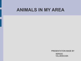 ANIMALS IN MY AREA




             PRESENTATION MADE BY
                SERGIO
                VILLAESCUSA
 