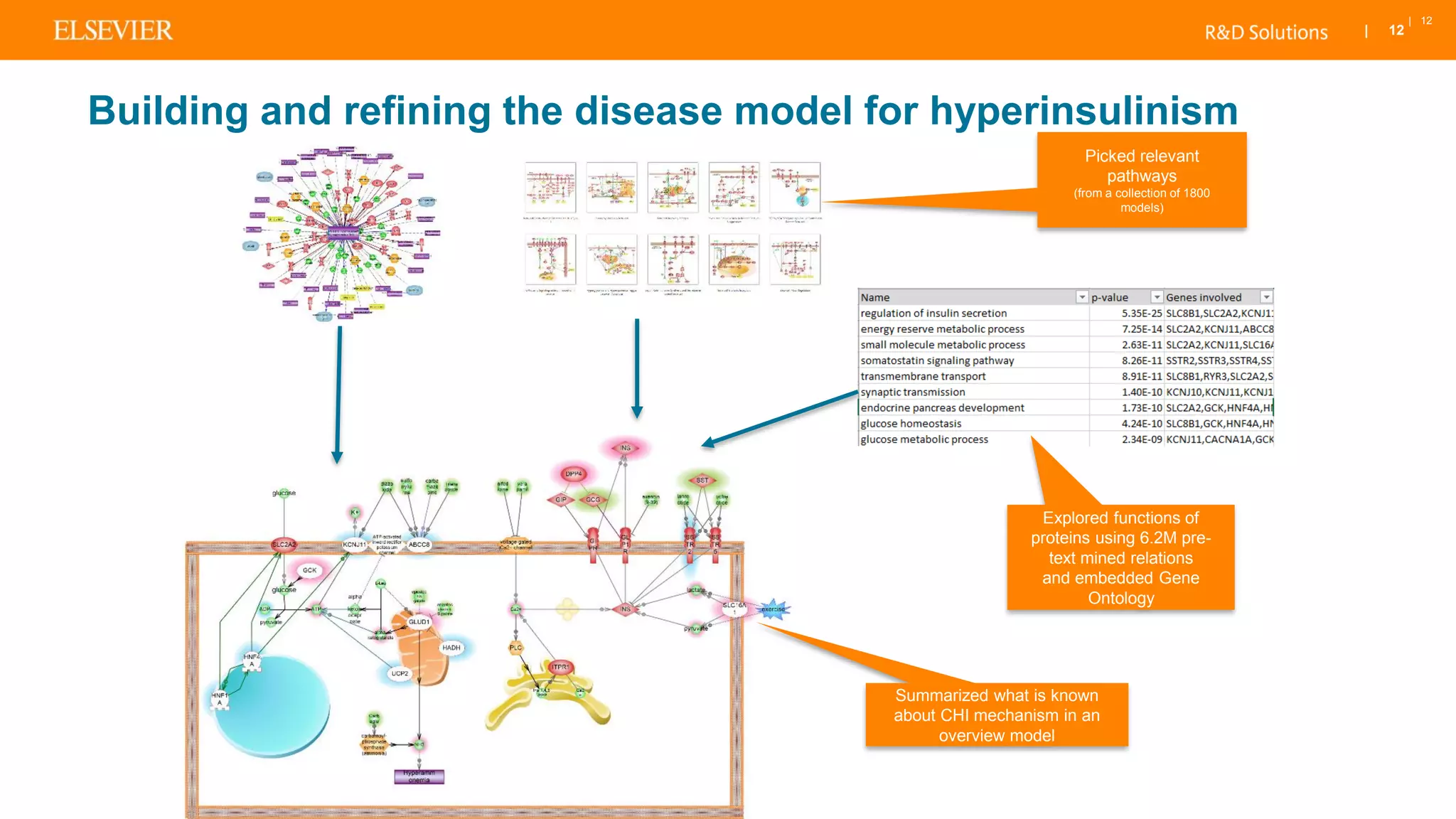 | 12
| 12
Building and refining the disease model for hyperinsulinism
Picked relevant
pathways
(from a collection of 1800
models)
Explored functions of
proteins using 6.2M pre-
text mined relations
and embedded Gene
Ontology
Summarized what is known
about CHI mechanism in an
overview model
 