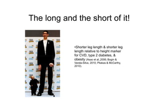 The long and the short of it!
•Shorter leg length & shorter leg
length relative to height marker
for CVD, type 2 diabetes, &for CVD, type 2 diabetes, &
obesity (Asao et al.,2006; Bogin &
Varela-Silva, 2010; Pliakas & McCarthy,
2010).
 