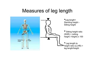 Measures of leg length
•Leg length=
Standing height -
Sitting height
• Sitting height ratio
(SHR) = (sitting(SHR) = (sitting
height / height) x 100
• Leg length to
height ratio (LLHR) =
leg length/height
 