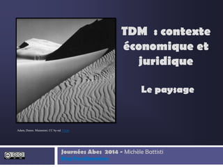 Le paysage
Journées Abes 2014 - Michèle Battisti
Blog Paralipomènes
TDM : contexte
économique et
juridique
Adam, Dunes. Maiamimi. CC by-nd. Flickr
 
