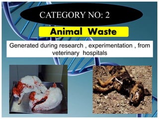 CATEGORY NO: 2
Animal Waste
Generated during research , experimentation , from
veterinary hospitals
 