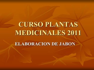 CURSO PLANTAS MEDICINALES 2011 ELABORACION DE JABON 