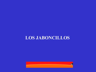 LOS JABONCILLOS   