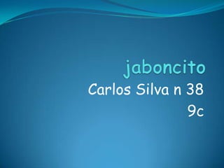 Carlos Silva n 38
               9c
 