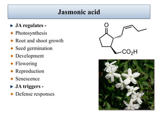 Role of Jasmonic acid in plant development and defense responses | PPTX