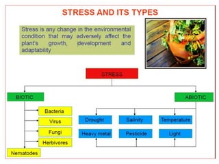 Role of Jasmonic acid in plant development and defense responses | PPTX