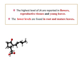 Role of Jasmonic acid in plant development and defense responses | PPTX