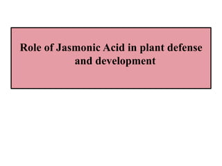 Role of Jasmonic acid in plant development and defense responses | PPTX