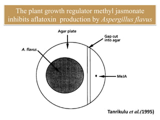 Role of Jasmonic acid in plant development and defense responses | PPTX