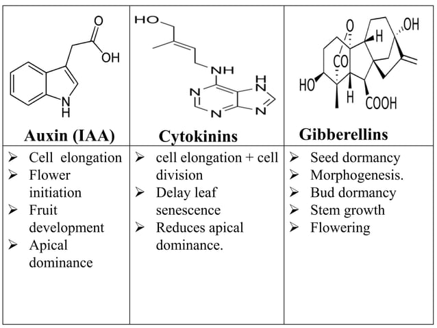 Role of Jasmonic acid in plant development and defense responses | PPTX