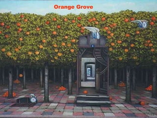 Orange Grove 