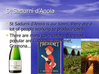 St Sadurní d’Anoia
• St Sadurní d’Anoia is our town, there are a
lot of people working to produce cava.
• There are many cava cellars, the most
popular are Codorniu, Freixenet,
Gramona...
 