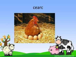 cearc
 