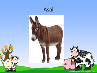 Asal
 