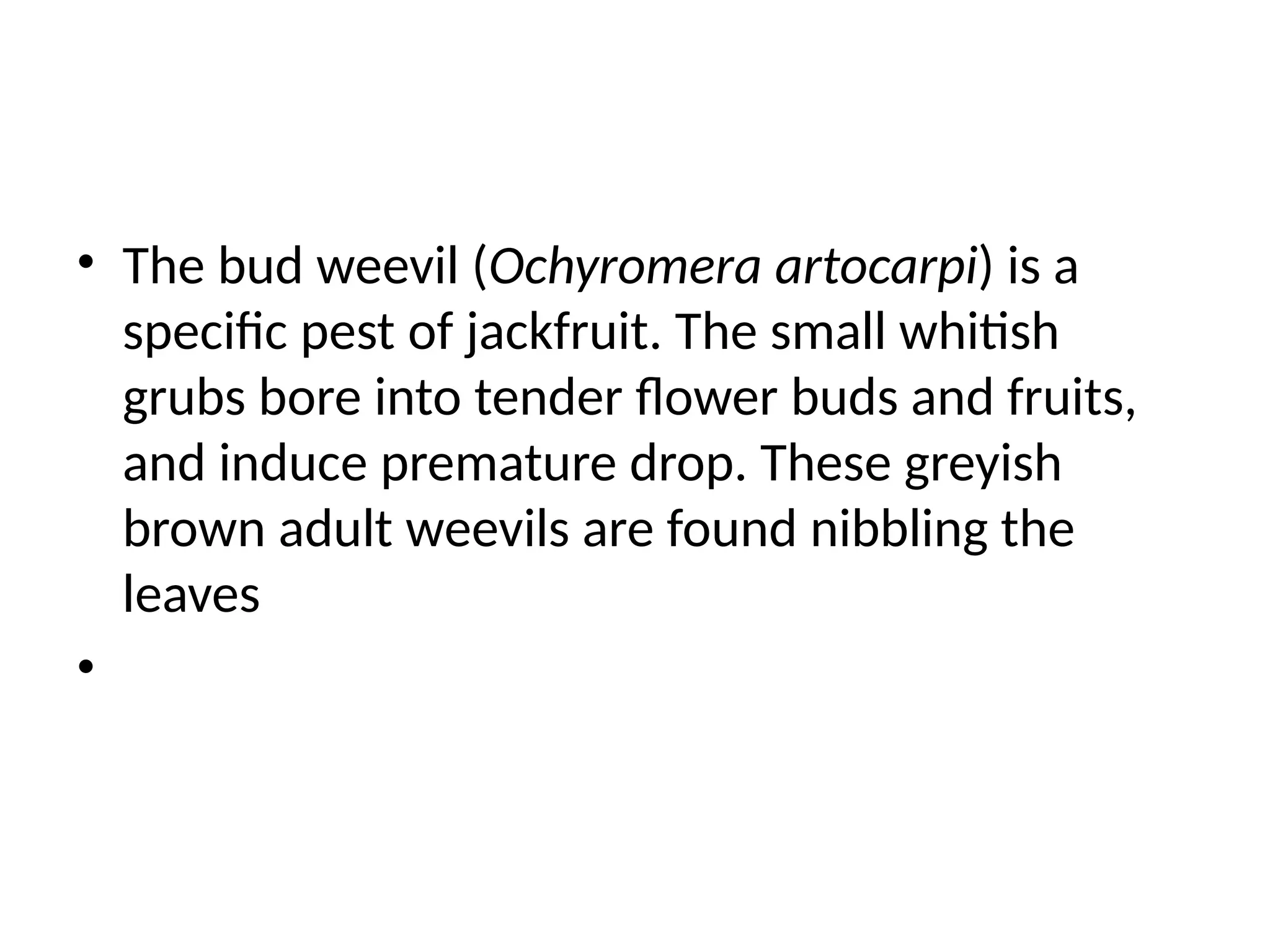 Jackfruit Insect Pests of Jack fruit, Atrocarpus species, insect pest | PPTX