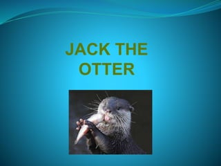 JACK THE
OTTER
 