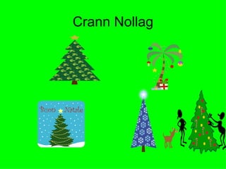 Crann Nollag 
