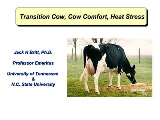 Transition Cow, Cow Comfort, Heat Stress

Jack H Britt, Ph.D.
Professor Emeritus
University of Tennessee
&
N.C. State University

 