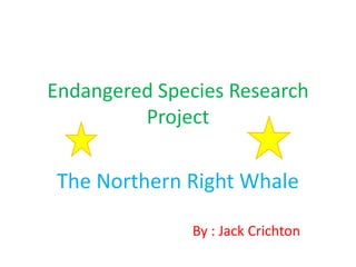 Endangered Species Research
         Project

The Northern Right Whale

               By : Jack Crichton
 