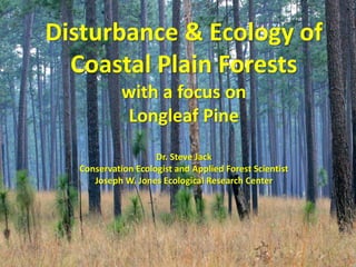 Disturbance & Ecology of
Coastal Plain Forests
with a focus on
Longleaf Pine
Dr. Steve Jack
Conservation Ecologist and Applied Forest Scientist
Joseph W. Jones Ecological Research Center
 