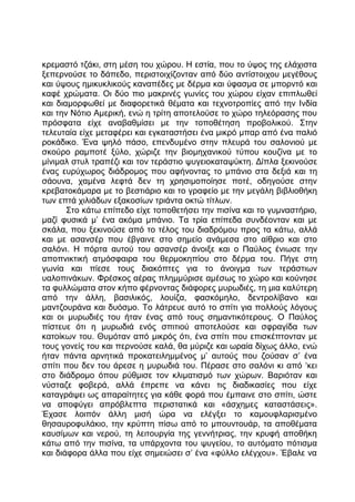 κρεμαστό τζάκι, στη μέση του χώρου. Η εστία, που το ύψος της ελάχιστα
ξεπερνούσε το δάπεδο, περιστοιχίζονταν από δύο αντίστοιχου μεγέθους
και ύψους ημικυκλικούς καναπέδες με δέρμα και ύφασμα σε μπορντό και
καφέ χρώματα. Οι δύο πιο μακρινές γωνίες του χώρου είχαν επιπλωθεί
και διαμορφωθεί με διαφορετικά θέματα και τεχνοτροπίες από την Ινδία
και την Νότιο Αμερική, ενώ η τρίτη αποτελούσε το χώρο τηλεόρασης που
πρόσφατα είχε αναβαθμίσει με την τοποθέτηση προβολικού. Στην
τελευταία είχε μεταφέρει και εγκαταστήσει ένα μικρό μπαρ από ένα παλιό
ροκάδικο. Ένα ψηλό πάσο, επενδυμένο στην πλευρά του σαλονιού με
σκούρο ραμποτέ ξύλο, χώριζε την βιομηχανικού τύπου κουζίνα με το
μίνιμαλ στυλ τραπέζι και τον τεράστιο ψυγειοκαταψύκτη. Δίπλα ξεκινούσε
ένας ευρύχωρος διάδρομος που αφήνοντας το μπάνιο στα δεξιά και τη
σάουνα, χαμένα λεφτά δεν τη χρησιμοποίησε ποτέ, οδηγούσε στην
κρεβατοκάμαρα με το βεστιάριο και το γραφείο με την μεγάλη βιβλιοθήκη
των επτά χιλιάδων εξακοσίων τριάντα οκτώ τίτλων.
Στο κάτω επίπεδο είχε τοποθετήσει την πισίνα και το γυμναστήριο,
μαζί φυσικά μ’ ένα ακόμα μπάνιο. Τα τρία επίπεδα συνδέονταν και με
σκάλα, που ξεκινούσε από το τέλος του διαδρόμου προς τα κάτω, αλλά
και με ασανσέρ που έβγαινε στο σημείο ανάμεσα στο αίθριο και στο
σαλόνι. Η πόρτα αυτού του ασανσέρ άνοιξε και ο Παύλος ένιωσε την
αποπνικτική ατμόσφαιρα του θερμοκηπίου στο δέρμα του. Πήγε στη
γωνία και πίεσε τους διακόπτες για το άνοιγμα των τεράστιων
υαλοπινάκων. Φρέσκος αέρας πλημμύρισε αμέσως το χώρο και κούνησε
τα φυλλώματα στον κήπο φέρνοντας διάφορες μυρωδιές, τη μια καλύτερη
από την άλλη, βασιλικός, λουίζα, φασκόμηλο, δεντρολίβανο και
μαντζουράνα και δυόσμο. Το λάτρευε αυτό το σπίτι για πολλούς λόγους
και οι μυρωδιές του ήταν ένας από τους σημαντικότερους. Ο Παύλος
πίστευε ότι η μυρωδιά ενός σπιτιού αποτελούσε και σφραγίδα των
κατοίκων του. Θυμόταν από μικρός ότι, ένα σπίτι που επισκέπτονταν με
τους γονείς του και περνούσε καλά, θα μύριζε και ωραία δίχως άλλο, ενώ
ήταν πάντα αρνητικά προκατειλημμένος μ’ αυτούς που ζούσαν σ’ ένα
σπίτι που δεν του άρεσε η μυρωδιά του. Πέρασε στο σαλόνι κι από ‘κει
στο διάδρομο όπου ρύθμισε τον κλιματισμό των χώρων. Βαριόταν και
νύσταζε φοβερά, αλλά έπρεπε να κάνει τις διαδικασίες που είχε
καταγράψει ως απαραίτητες για κάθε φορά που έμπαινε στο σπίτι, ώστε
να αποφύγει απρόβλεπτα περιστατικά και «άσχημες καταστάσεις».
Έχασε λοιπόν άλλη μισή ώρα να ελέγξει το καμουφλαρισμένο
θησαυροφυλάκιο, την κρύπτη πίσω από το μπουντουάρ, τα αποθέματα
καυσίμων και νερού, τη λειτουργία της γεννήτριας, την κρυφή αποθήκη
κάτω από την πισίνα, τα υπάρχοντα του ψυγείου, το αυτόματο πότισμα
και διάφορα άλλα που είχε σημειώσει σ’ ένα «φύλλο ελέγχου». Έβαλε να
 
