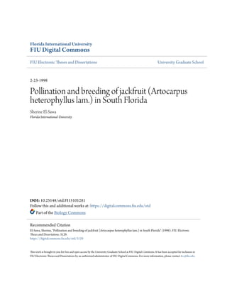Florida International University
FIU Digital Commons
FIU Electronic Theses and Dissertations University Graduate School
2-23-1998
Pollination and breeding of jackfruit (Artocarpus
heterophyllus lam.) in South Florida
Sherine El-Sawa
Florida International University
DOI: 10.25148/etd.FI15101281
Follow this and additional works at: https://digitalcommons.fiu.edu/etd
Part of the Biology Commons
This work is brought to you for free and open access by the University Graduate School at FIU Digital Commons. It has been accepted for inclusion in
FIU Electronic Theses and Dissertations by an authorized administrator of FIU Digital Commons. For more information, please contact dcc@fiu.edu.
Recommended Citation
El-Sawa, Sherine, "Pollination and breeding of jackfruit (Artocarpus heterophyllus lam.) in South Florida" (1998). FIU Electronic
Theses and Dissertations. 3129.
https://digitalcommons.fiu.edu/etd/3129
 