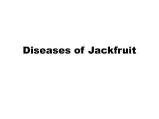 Diseases of Jackfruit
 