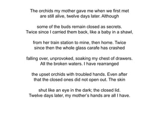 The orchids my mother gave me when we first met
are still alive, twelve days later. Although
some of the buds remain closed as secrets.
Twice since I carried them back, like a baby in a shawl,
from her train station to mine, then home. Twice
since then the whole glass carafe has crashed
falling over, unprovoked, soaking my chest of drawers.
All the broken waters. I have rearranged
the upset orchids with troubled hands. Even after
that the closed ones did not open out. The skin
shut like an eye in the dark; the closed lid.
Twelve days later, my mother’s hands are all I have.
 