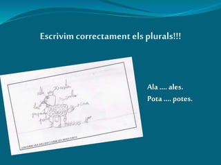 Escrivimcorrectament els plurals!!!
Ala .... ales.
Pota .... potes.
 