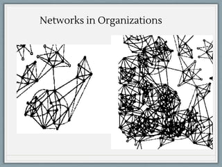 Networks in Organizations
 