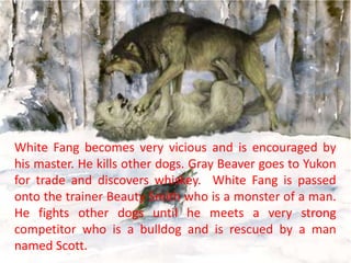 White Fang becomes very vicious and is encouraged by
his master. He kills other dogs. Gray Beaver goes to Yukon
for trade and discovers whiskey. White Fang is passed
onto the trainer Beauty Smith who is a monster of a man.
He fights other dogs until he meets a very strong
competitor who is a bulldog and is rescued by a man
named Scott.

 