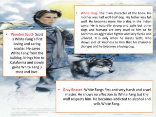 •

• Weeden Scott- Scott
is White Fang´s first
loving and caring
master. He saves
White Fang from the
bulldog, brings him to
Calafornia and slowly
gains White Fang´s
trust and love.

White Fang- The main character of the book. His
mother was half wolf-half dog. His father was full
wolf. He becomes more like a dog in the Indian
camp. He is naturally strong and agile but other
dogs and humans are very cruel to him so he
becomes an aggressive fighter and very fierce and
unloved. It is only when he meets Scott, who
shows alot of kindness to him that his character
changes and he becomes a loving dog.

• Gray Beaver- White Fangs first and very harsh and cruel
master. He shows no affection to White Fang but the
wolf respects him. He becomes addicted to alcohol and
sells White Fang.

 