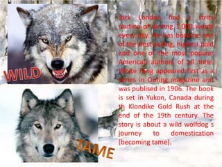Jack London had a strict
routine of writing 1,000 words
every day. He has become one
of the best-selling, highest paid
and one of the most popular
American authors of all time.
White Fang appeared first as a
series in Outing magazine and
was publised in 1906. The book
is set in Yukon, Canada during
th Klondike Gold Rush at the
end of the 19th century. The
story is about a wild wolfdog s
journey
to
domestication
(becoming tame).

 
