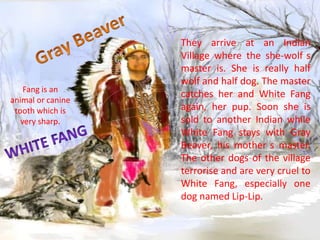 Fang is an
animal or canine
tooth which is
very sharp.

They arrive at an Indian
Village where the she-wolf s
master is. She is really half
wolf and half dog. The master
catches her and White Fang
again, her pup. Soon she is
sold to another Indian while
White Fang stays with Gray
Beaver, his mother s master.
The other dogs of the village
terrorise and are very cruel to
White Fang, especially one
dog named Lip-Lip.

 