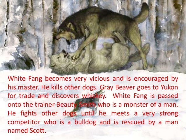 White fang book report summary