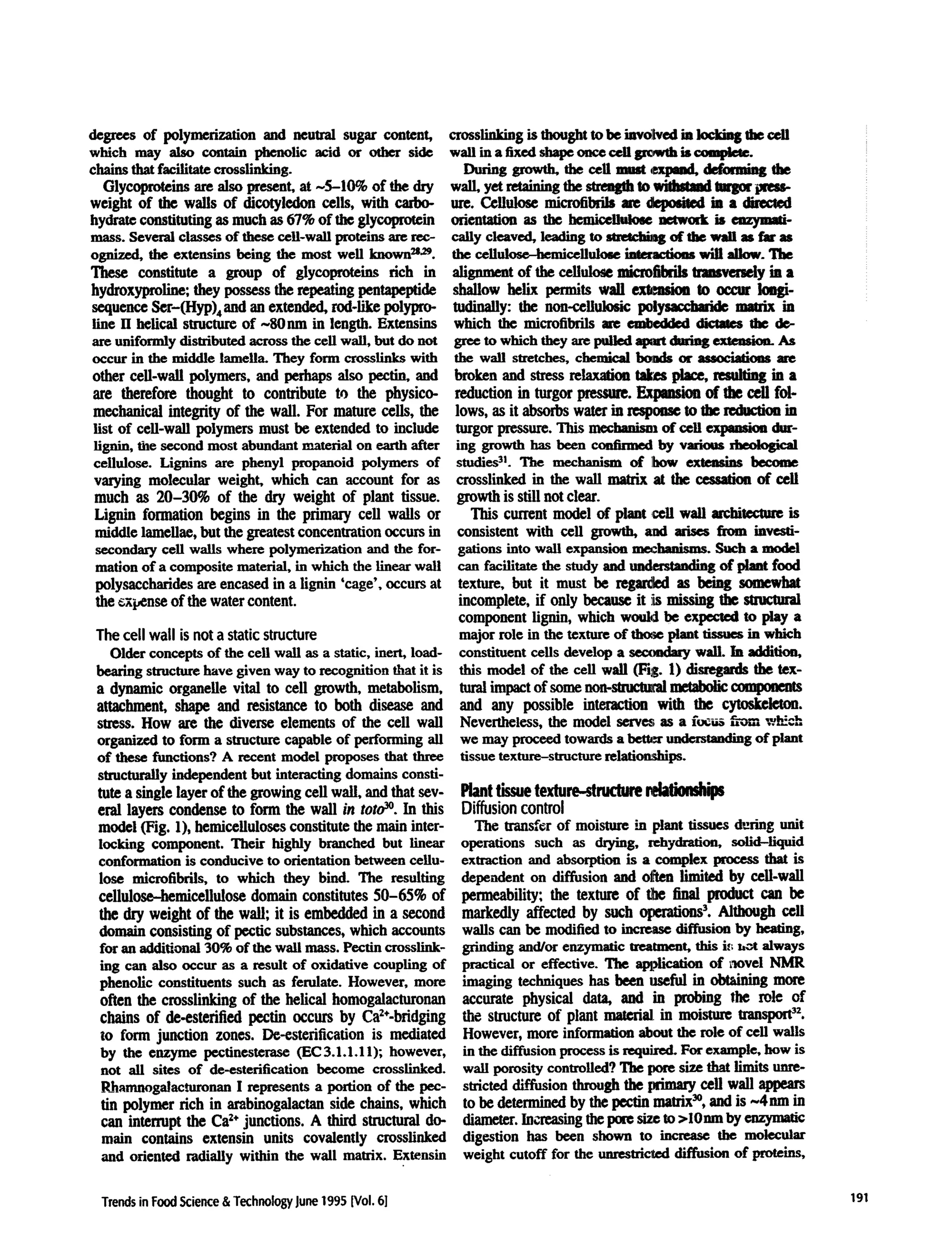 degrees of polymerization and neutral sugar content,
which may also contain phenolic acid or other side
chains that facilitate crossllnking.
Glycopmteius are also present, at -5-10% of the dry
weight of the walls of dicotyledon fells, with cafoo-
hydrate constituting as much as 67% of the glycoprotein
mass. Several classes of these cell-wall proteins are rec-
ognized, the extensins being the most well known2s~.
These constitute a group of glycoproteins rich in
hydroxyproline; they possess the repeating pentapeptide
sequence Ser-(Hyp)4and an extended, rod-like polypro-
line II helical structure of ~8Ohm in length. Exteusins
are uniformly distributed across the cell wall, but do not
occur in the middle lamella. They form crosslinks with
other cell-wall polymers, and perhaps also pectin, and
are therefore thought to contribute to the physico-
mechanical integrity of the wall. For mature cells, the
list of cell-wall polymers must he extended to include
lignin, the second most abundant material on earth after
cellulose. Lignins are phenyl propanoid polymers of
varying molecular weight, which can account for as
much as 20-30% of the dry weight of plant tissue.
Lignln formation begins in the primary cell walls or
middle lamellae, but the greatest concenu~tion occurs in
secondary cell walls where polymerization and the for-
marion of a composite material, in which the linear wall
polysaccharides are encased in a lignln 'cage', occurs at
the ~xi,enseof the water content.
The cell wall is not a static structure
Older concepts of the cell wall as a static, inert, load-
bearing structure have given way to recognition that it is
a dynamic organelie vital to cell growth, metabolism,
attachment, shape and resistance to both disease and
suess. How are the diverse elements of the cell wall
organized to form a structure capable of performing all
of these functions? A recent model proposes that three
structurally independem but interacting domains consti-
tute a single layer of the growing cell wall, and that sev-
end layers condense to form the wall in toto3°. In tiffs
model (Fig. 1), hemicellulosusconstitute the main inter-
locking component. Their highly branched but linear
conformation is conducive to orientation between cellu-
lose mlcrofibrils, to which they bind. The resulting
cellulose-hemifellulose domain constitutes 50-65% of
the dry weight of the wall; it is embedded in a second
domain consisting of pectic substances, which accounts
for an additional 30% of the wall mass. Pectin crosslink-
ing can also occur as a result of oxidative coupling of
phenolic constituents such as ferulate. However, more
often the cmsslinking of the helical homogalachironan
chains of de.esterified pectin occurs by Ca~÷-bridging
to form junction zones. De-esterification is mediated
by the enzyme pectinesterase (EC 3.1.1.11); however,
not all sites of de-esterification become crosslinked.
P-_hamnogalactaronan I represents a portion of the pec-
tin polymer rich in arabinogalactan side chains, which
can interrupt the Caz÷junctions. A third structural do-
main contains extensin units covalently crossllnked
and oriented radially within the wall matrix. Extensin
crossn-k~-g ~sthought m be inv~ed in ~ ~ cen
wall in a fixed shape once cell ~s~h is complex.
During growth, the cell must ,mqmd, defemiag the
wall, yet retaining the strea~ to wiemml ~t<,~ imm-
ure. Cellulose microfibrib ase depmited in a directed
orientation as the hemifellaleee network is mzymafi-
cally cleaved, leading to stngchingof the wall as far as
the ceUulose-hemicellulceeinteractions will allow. The
alignment of the cellulose micmfibrils tramvem~ ia a
shallow helix permits wall en~moa to occtw longi-
tudinally: the non-fellulosic pelymccha~k matrix in
which the microfibrils are emi~lded dictates the de-
gree to which they are pulled a~ doring extemion. A~
the wall stretches, chemical bonde or associations are
broken and stress relaxation takes place, resulting in a
reduction in turgor pressure. Expansioe of the cell fol-
lows, as it absorbs water in respome to the rednctiee in
turgot pressure. This mechani~ of cell expansion dur-
ing growth has been confirmed by various rheologlcal
studies3~. The mechanism of buw extemias become
crosslinked in the wall matrix at the cessation of fell
growth is still not clear.
This current model of plant fell wall architecture is
consistent with cell growth, ~md arises from investi-
gations into wall expansion mecbRni~.m,:.Such a model
can facilitate the study and understanding of plant food
texture, but it must he regarded as being somewhat
incomplete, if only because it ~ missing the sueauntl
component lignin, which wo~ be expected to play a
major role in the texture of th~e plant tismes in which
constituent cells develop a seccmdery wall. 18 addition,
this model of the cell wall (Fig. 1) disregards the tex-
tural impact of some non-stngttnl metabolic ~
and any possible interaction with the cytoskeleton.
Nevertheless, the model serves as a ftmus ~ wb2ch
we may proceed towards a bettor understandingof plant
tissue texture-structurerelationships.
Plant tissue texture-structure
Diffusion control
The transfer of moisture m plant tissues d~ring unit
opemtions such as drying, rehydratinn, solld-liquid
extraction and absorption is a complex process that is
dependent on diffusion and often limited by cell-wall
permeability: the texture of the final product can be
markedly affected by such operations3. Although fell
walls can be modified to increase diffusion by heating,
grinding and/or enzymatic ¢.eatment, this it; ~ always
practical or effective. The apidication of ~'tovel NMR
imaging techniques has been useful in obtaining more
accurate physical da~ and in lxobing the role of
the suucture of plant mal~al in moisture transport3z.
However, more information about the role of cell walls
in the diffusion process is required. For example, how is
wall porosity controlled? The pore size that limits unre-
stricted di_ffi~ion through the |nn~'y cell wall appears
to he determined by the pectin mau'ix3°,and is ~4nm in
diameter. In~m:asingthe pore size to >10nm by enzymatic
digestion has been shown m increase the molecular
weight cutoff for the unrestricted diffusion of proteins,
Trendsin FoodScience& TechnologyJune1995Wol.6] 191
 