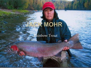 Jack Mohr  Rainbow Trout 