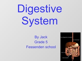 Digestive System By Jack Grade 5 Fessenden school 