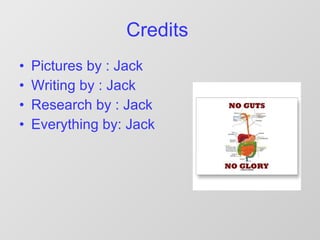 Jack murrell wright digestive system | PPT