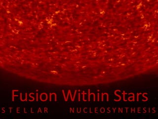 Fusion Within Stars S  T  E  L  L  A R            N U C L E O S Y N T H E S I S    